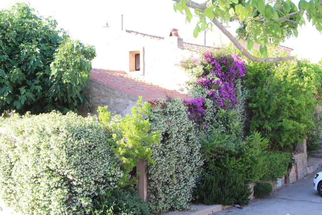 サン・パンタレオ La Porta Sulla Costa Bed & Breakfast エクステリア 写真